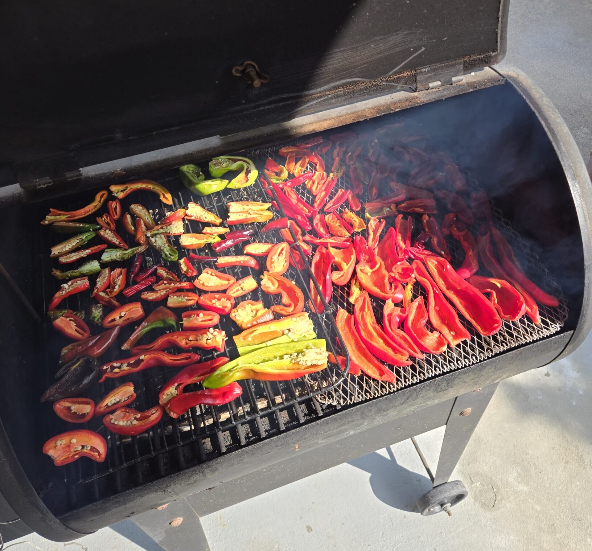 Smoked Chile Peppers